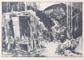 Lenkey Zoltán (1936-1983): Bükki táj II., rézkarc, papír, jelzett, számozott (90/100), üvegezett fakeretben, 24×34 cm