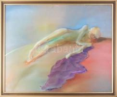 Jelzés nélkül (XX. sz. vége): Fekvő női akt. Olaj, farost. Apró lyukkal. Fakeretben. 55×68 cm