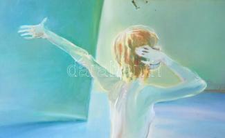 Jelzés nélkül (XX. sz. vége): Álló női akt. Olaj, farost. Kissé sérült. Fakeretben. 55×68 cm