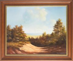 Fejes Sándor (1964-): Őszi táj. Olaj, farost, jelzett, fakeretben, 40×50 cm