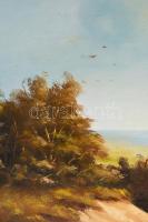 Fejes Sándor (1964-): Őszi táj. Olaj, farost, jelzett, fakeretben, 40×50 cm