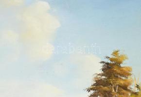 Fejes Sándor (1964-): Őszi táj. Olaj, farost, jelzett, fakeretben, 40×50 cm