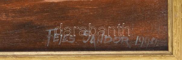 Fejes Sándor (1964-): Őszi táj. Olaj, farost, jelzett, fakeretben, 40×50 cm