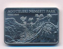 2025. 3000Ft Cu-Ni "Aggteleki Nemzeti Park" kapszulában T:BU