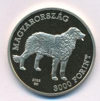 2025. 3000Ft Cu-Ni "Kuvasz" kapszulában T:PP