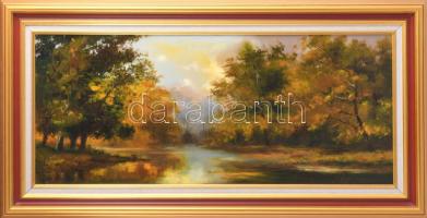 Széchenyi István (1960-): Mediterrán emlék. Olaj, farost. Jelezve balra lent. Dekoratív fakeretben. 30x70 cm. Fakeretben.