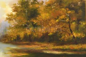 Széchenyi István (1960-): Mediterrán emlék. Olaj, farost. Jelezve balra lent. Dekoratív fakeretben. ...