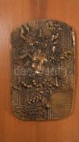 Rácz Edit (1936-): Fantáziajelenetes bronz plakett Juhász Ferenc verssoraival, fa lapon, jelzett, 24x18 cm