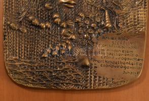 Rácz Edit (1936-): Fantáziajelenetes bronz plakett Juhász Ferenc verssoraival, fa lapon, jelzett, 24...