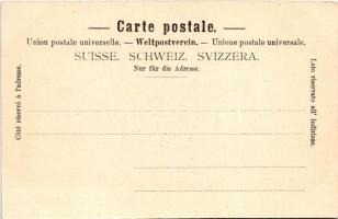 Saint-Gotthard Massif, Gotthard-Hospiz / mountain rest houses. E. Goetz Photogr