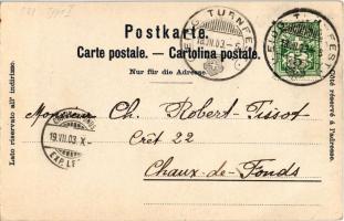 1903 Zürich, Zurich; Offizielle Postkarte Eidgen. Turnfest Zürich 1903 / Gymnastics festival. Art No...