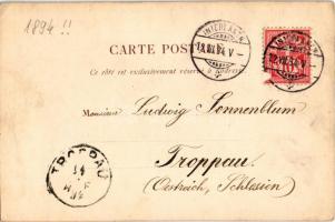 1894 Mürren, Grand Hotel des Alpes. litho - early postcard! (cut)