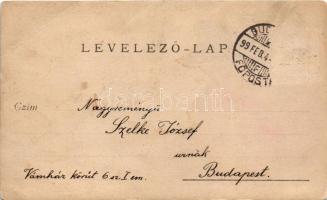 1899 Budapest, fotómontázs, vár, gőzhajó, rakpart. photo (EB)