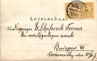 1900 Budapest XIV. Földtani Intézet. A címzett dr Schafarzik Ferenc geológus, műegyetemi tanár, az M...