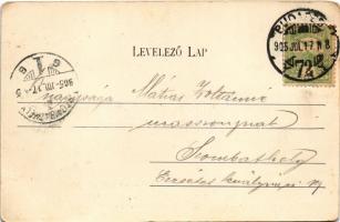 1905 Budapest XIV. Városliget, Wampetics F. vendéglője, étterem kerthelyisége pincérekkel (kopott sa...