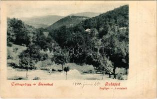 1901 Budapest XII. Zugliget, Csillagvölgy (szakadás / tear)