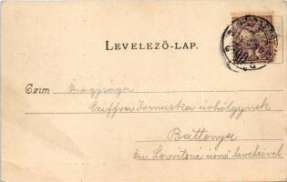 1901 Budapest XII. Zugliget, Csillagvölgy (szakadás / tear)