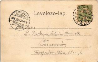 1905 Budapest VIII. Nemzeti Múzeum (EK)