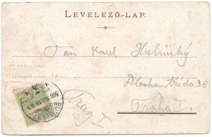 1906 Budapest V. József tér, Kommer Ferenc-féle Étterem a Virágbokorhoz, Borpince Budafokon, Lánchíd...