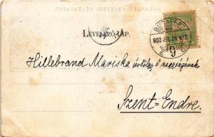 1902 Budapest VIII. Egyetemi növénykert, Victoria regia, Victoria ház (felületi sérülés / surface da...