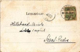 1902 Budapest VIII. Egyetemi növénykert, gyógyító, hasznos és mérges növények csoportja (kopott sark...