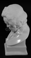 Herendi Beethoven büszt. Mázas és biszkvit porcelán, jelzett (masszába nyomott), m: 20,5 cm