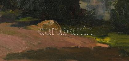 Jelzés nélkül, XX. sz. első fele: Hazafelé. Olaj, vászon. Dekoratív fakeretben. 55,5x69 cm