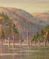Barabás Márton, Márkusfalvi (1893-1974): Gyilkos-tó (Erdély). Olaj, vászon, jelezve balra lent, deko...
