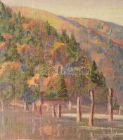 Barabás Márton, Márkusfalvi (1893-1974): Gyilkos-tó (Erdély). Olaj, vászon, jelezve balra lent, deko...