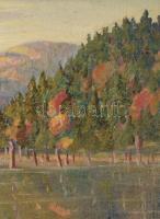 Barabás Márton, Márkusfalvi (1893-1974): Gyilkos-tó (Erdély). Olaj, vászon, jelezve balra lent, deko...