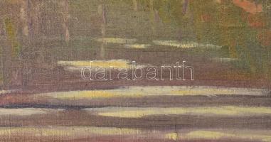 Barabás Márton, Márkusfalvi (1893-1974): Gyilkos-tó (Erdély). Olaj, vászon, jelezve balra lent, deko...