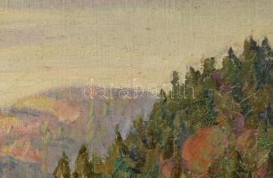 Barabás Márton, Márkusfalvi (1893-1974): Gyilkos-tó (Erdély). Olaj, vászon, jelezve balra lent, deko...