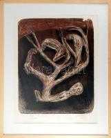 Gaál József (1960-): Meddő vágyak zárt világa, 1991. Litográfia, papír. Jelzett, számozott: 1/20. Bal lsó sarkában ázásnyommal. Üvegezett fakeretben. 53,5×43 cm