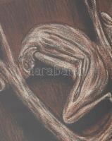 Gaál József (1960-): Meddő vágyak zárt világa, 1991. Litográfia, papír. Jelzett, számozott: 1/20. Ba...