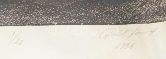 Gaál József (1960-): Meddő vágyak zárt világa, 1991. Litográfia, papír. Jelzett, számozott: 1/20. Ba...