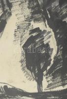 Czumpf Imre (1898-1973): Postumia/Postojna (Szlovénia/Slovenia), 1938. Tus, papír, jelzett. Üvegezet...