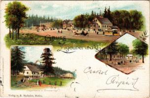 1897 Bielsko-Biala, Bielitz; Gruss aus dem Zigeunerwald. Restaurant, Jägerhaus und Emmenhof / restaurant, hunting lodge. Verlag J. Miesler Art Nouveau, litho (EB)