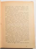 A búrok magyar vitéze. Egy magyar fiú kalandos története. Wildstein műve után átdolgozta Földes Géza...