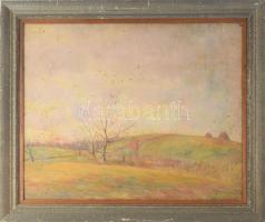 Kovács Jenő József (1884-1961): Táj. Olaj, fa. Jelzett. Sérült. Fakeretben. 40x49 cm