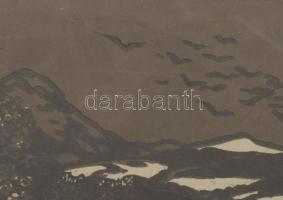 Jelzés nélkül (Dobai Székely Andor?): Szecessziós grafika. Linómetszet, papír. Üvegezett fakeretben....