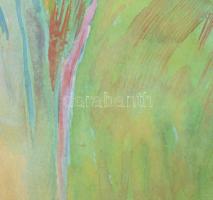 Bikácsi Daniela (1943- ): Elképzelt táj, akvarell, papír, jelzett. Dekoratív, üvegezett fa keretben,...