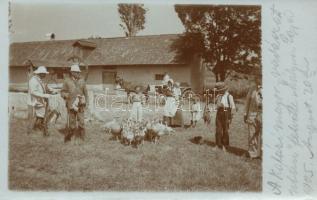 Budakalász major vadászat után photo