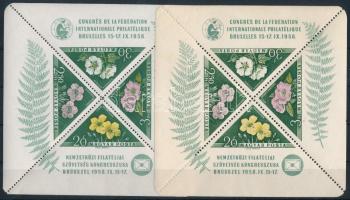 1958 FIP Virág 2 db blokk, színeltérés (22.000) (néhány elvált fog / aparted perfs)