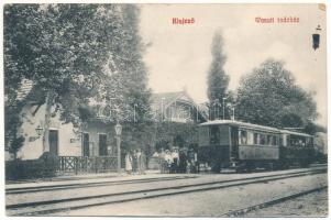 1913 Kisjenő, Chisineu-Cris; vasúti indóház, vasútállomás, vonat. Messzer Lipót kiadása / railway station, train (EK)