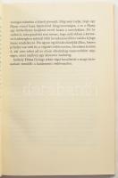 Nemeskürty István: Krónika Dózsa György tetteiről. 1972, Kossuth, egészvászon kötés papír védőborító...