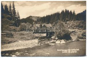 1929 Palotailva, Lunca Bradului; Báró Kemény-féle erdészlak, híd / forester's house, bridge. Carmen photo