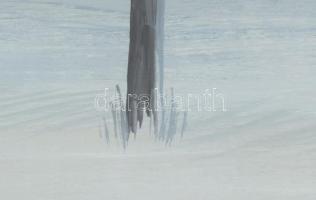 Bányai Béla (1955-): Hangulatos táj. Olaj, farost. Jelzett. Üvegezett fakeretben. 39x59 cm