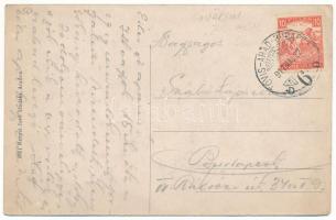 1917 Soborsin, Szoborsin, Savarsin; látkép távlatból. Kerpel Izsó kiadása / general view + "TÖV...