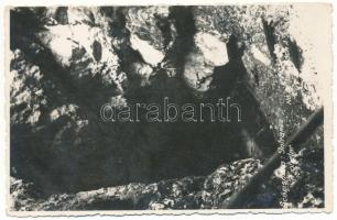 Aranyosfő, Scarisoara; Intrarea / barlang / cave. photo