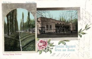 Buziásfürdő with alley and spa salon (EK)